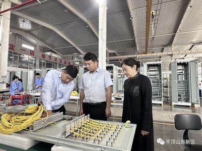 深入一线察实情 精准调研促发展——朱义宁赴平顶山森源电气走访调研